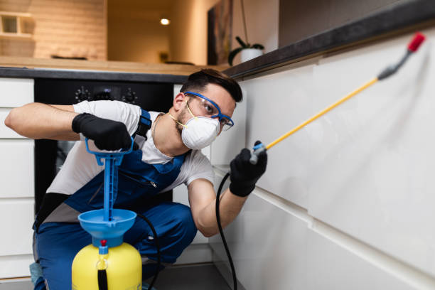 Best Wildlife Control Services  in Montebello, CA
