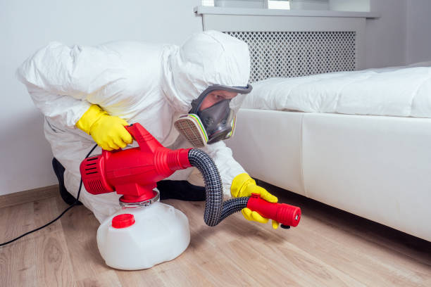 Best Affordable Pest Control Services  in Montebello, CA