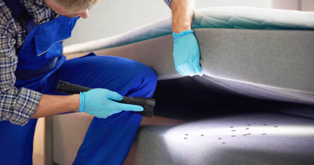 Best Affordable Pest Control Services  in Montebello, CA
